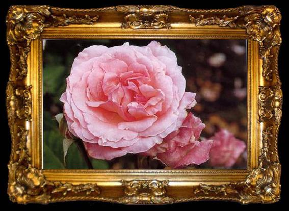framed  unknow artist Still life floral, all kinds of reality flowers oil painting  179, ta009-2